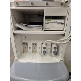 GE Healthcare  Voluson E6